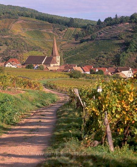 Niedermorschwihr, Haut Rhin, Alsace, France - FR-ALS-0429