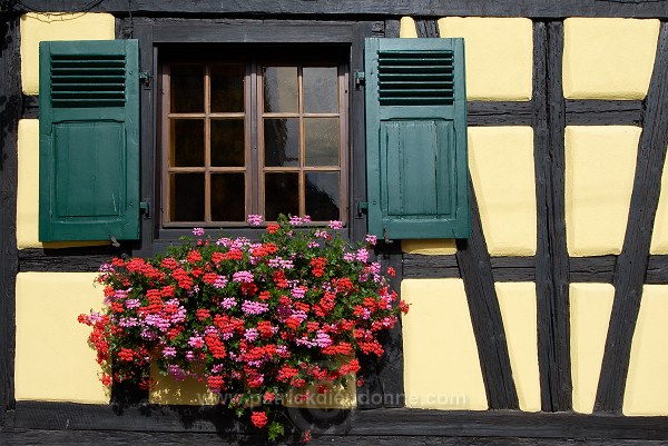 Niedermorschwihr, Haut Rhin, Alsace, France - FR-ALS-0432