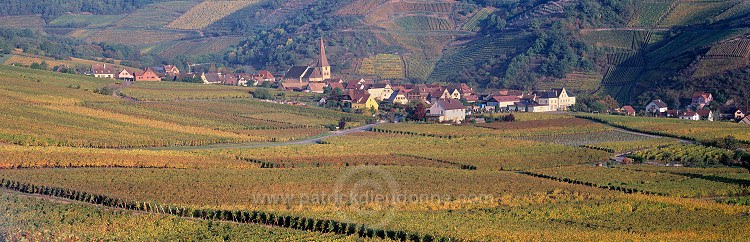 Niedermorschwihr, Haut Rhin, Alsace, France - FR-ALS-0433