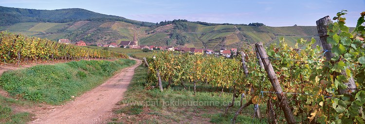 Niedermorschwihr, Haut Rhin, Alsace, France - FR-ALS-0434