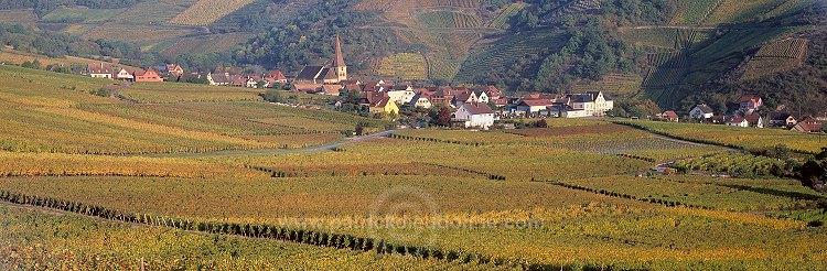 Niedermorschwihr, Haut Rhin, Alsace, France - FR-ALS-0436