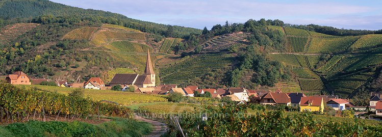 Niedermorschwihr, Haut Rhin, Alsace, France - FR-ALS-0437
