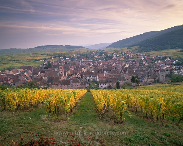 Riquewihr, Haut Rhin, Alsace, France - FR-ALS-0441