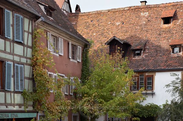 Riquewihr, Haut Rhin, Alsace, France - FR-ALS-0459