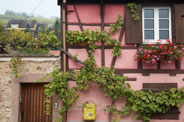 Turckheim, Haut Rhin, Alsace, France - FR-ALS-0509