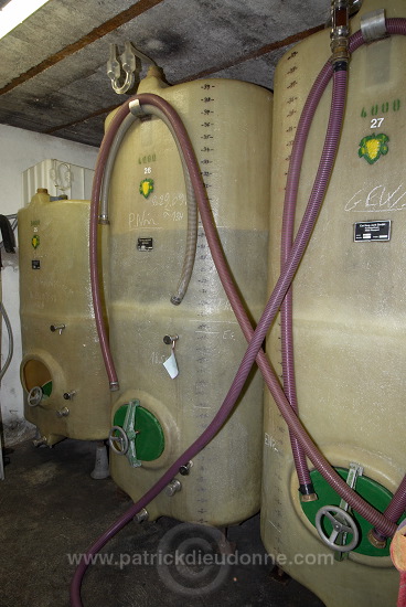 Barrel cellar at Domaine de l'Oriel, Alsace, France - FR-ALS-0575