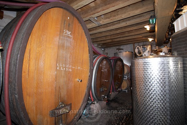 Barrel cellar at Domaine de l'Oriel, Alsace, France - FR-ALS-0576