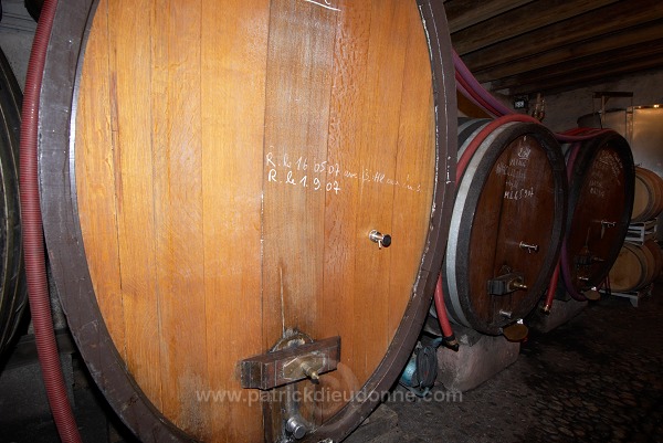 Barrel cellar at Domaine de l'Oriel, Alsace, France - FR-ALS-0577