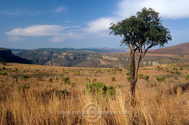 Blyde river canyon, South Africa - Afrique du Sud - 21110