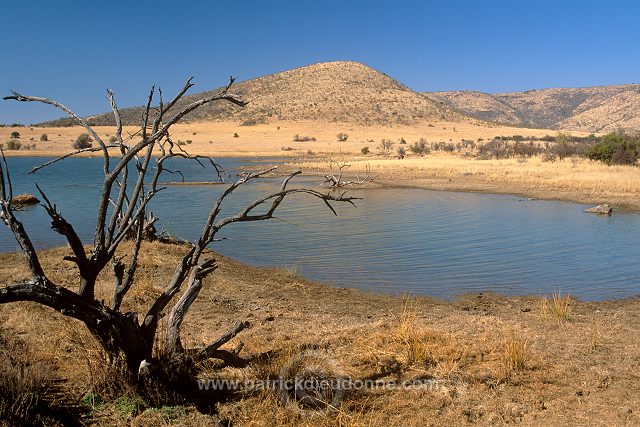 Mankwe Dam, Pilanesberg Park, South Africa - Afrique du Sud - 21127