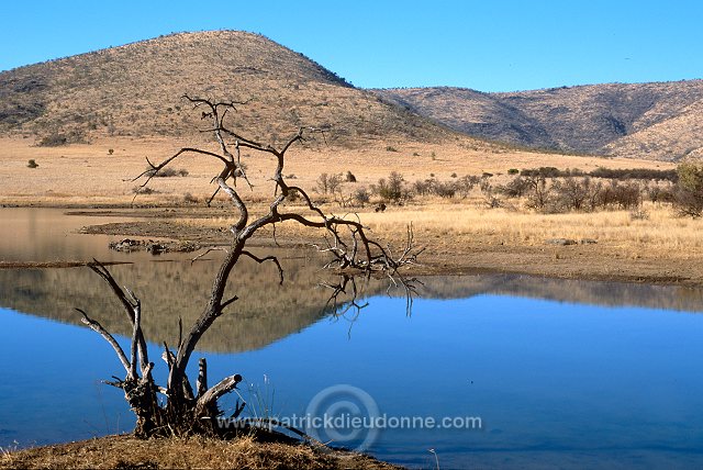 Mankwe Dam, Pilanesberg Park, South Africa - Afrique du Sud - 21128