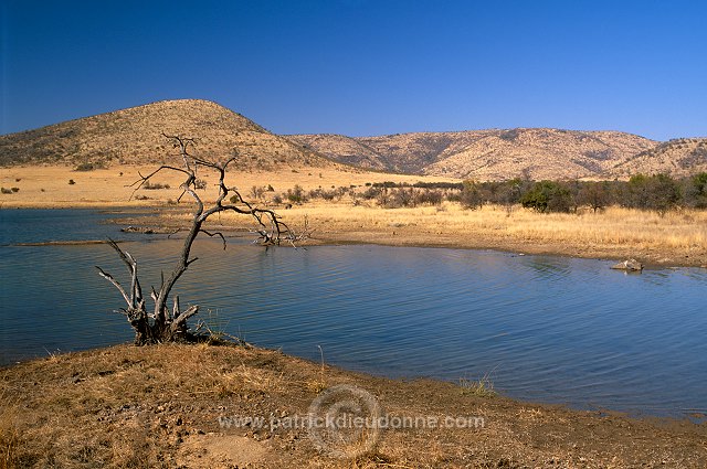 Mankwe Dam, Pilanesberg Park, South Africa - Afrique du Sud - 21131