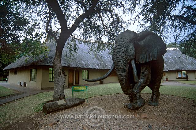 Kruger National Park, South Africa - Afrique du Sud - 21159