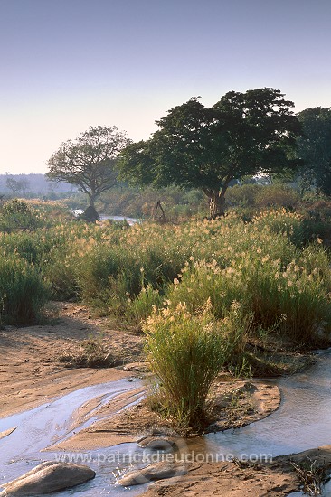 Kruger National Park, South Africa - Afrique du Sud - 21165