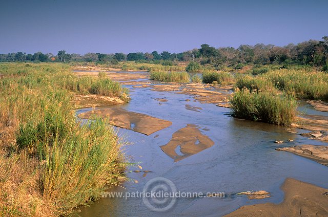 Olifants river, Kruger NP, South Africa - Afrique du sud - 21167