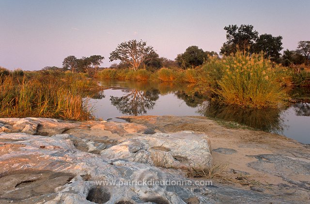 Olifants river, Kruger NP, South Africa - Afrique du sud - 21168
