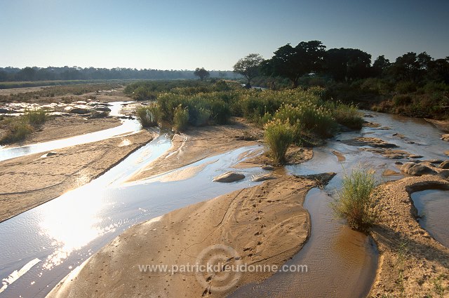 Olifants river, Kruger NP, South Africa - Afrique du sud - 21170