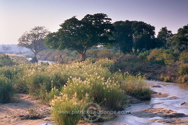 Olifants river, Kruger NP, South Africa - Afrique du sud - 21172