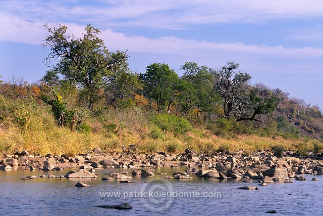 Kruger National Park, South Africa - Afrique du Sud - 21163