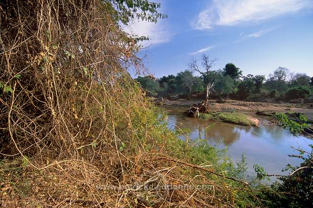 Luvuvhu  river, Kruger NP, South Africa - Afrique du sud - 21174