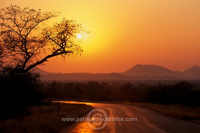 Sunrise, Kruger NP, South Africa - Afrique du Sud - 21195