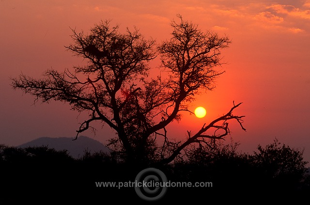 Sunrise, Kruger NP, South Africa - Afrique du Sud - 21198