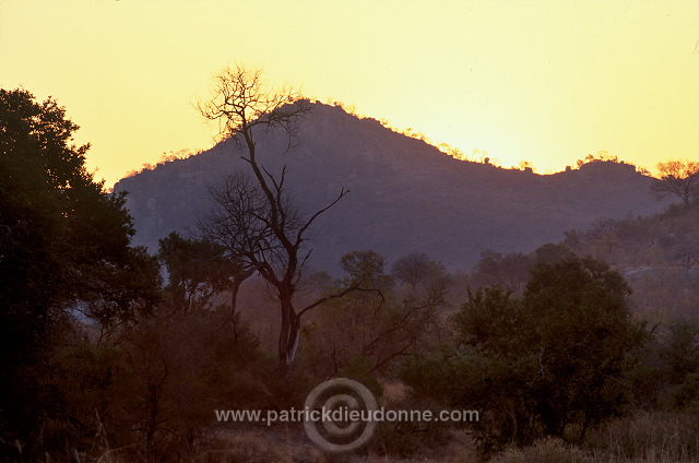 Sunrise, Kruger NP, South Africa - Afrique du Sud - 21199