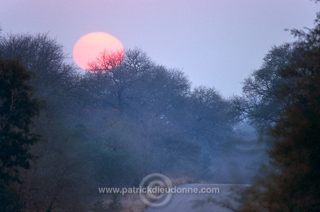 Sunrise, Kruger NP, South Africa - Afrique du Sud - 21200