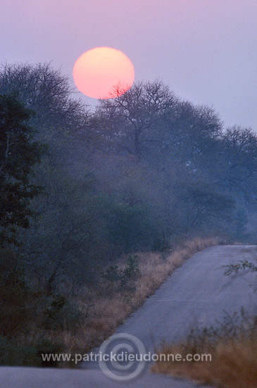 Sunrise, Kruger NP, South Africa - Afrique du Sud - 21201