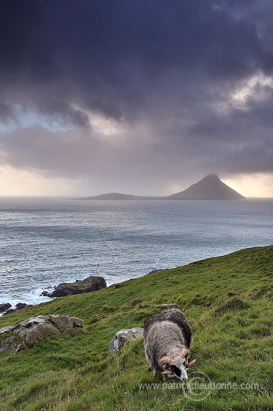 Koltur from Streymoy, Faroe islands - Ile de Koltur, iles Feroe - FER093