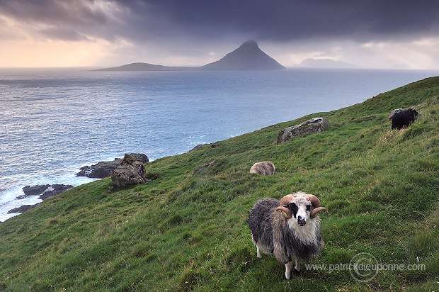 Koltur from Streymoy, Faroe islands - Ile de Koltur, iles Feroe - FER094