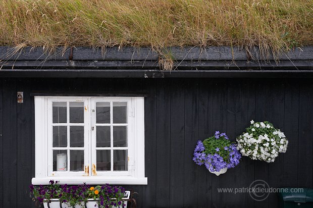 Gjogv, Eysturoy, Faroe islands - Gjogv, Eysturoy, iles Feroe - FER238