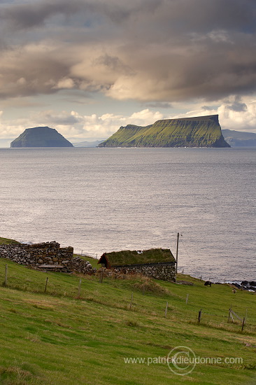 Stora and Litla Dimun, Faroe islands - Stora Dimun, Iles Feroe - FER443