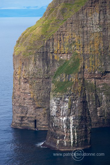 Sea cliffs, Hvalba, Suduroy, Faroe islands - Iles Feroe - FER488