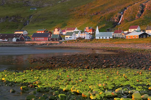 Famjin, Suduroy, Faroe islands - Famjin, Suduroy, iles Feroe - FER531