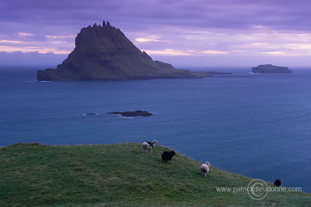 Tindholmur, Vagar, Faroe islands - Tindholmur, iles Feroe - FER641