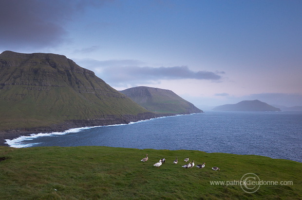 Torshavn, Streymoy, Faroe islands - Torshavn, Streymoy, iles Feroe - FER944