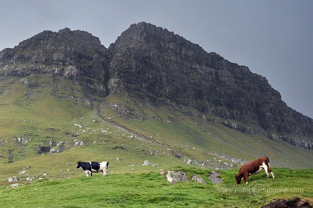 Murufelli (479 m), Streymoy, Faroe islands - Murufelli, Streymoy, iles Feroe - FER085