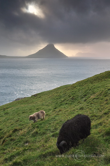 Koltur from Streymoy, Faroe islands - Ile de Koltur, iles Feroe - FER091