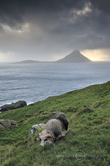 Koltur from Streymoy, Faroe islands - Ile de Koltur, iles Feroe - FER092