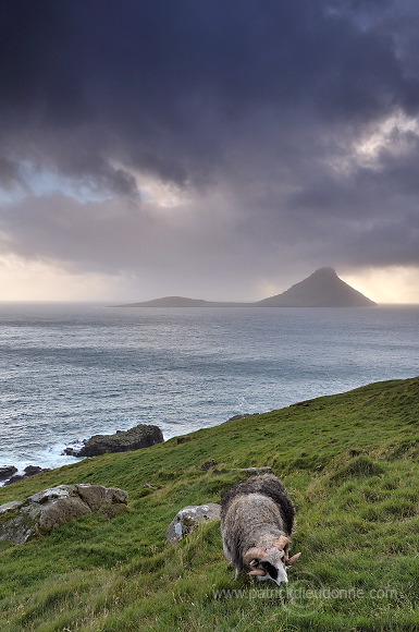 Koltur from Streymoy, Faroe islands - Ile de Koltur, iles Feroe - FER093