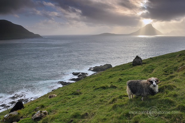 Koltur from Streymoy, Faroe islands - Ile de Koltur, iles Feroe - FER095