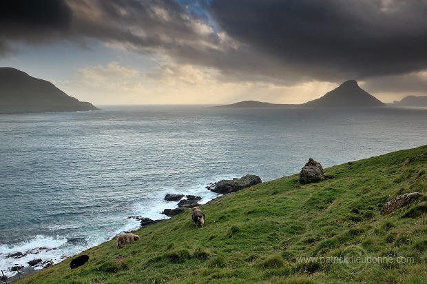 Koltur from Streymoy, Faroe islands - Ile de Koltur, iles Feroe - FER096