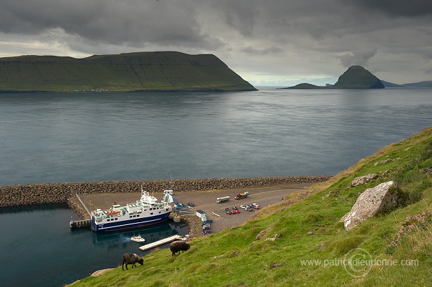 Ferry, Gamlaraett, Faroe islands - Ferry, Iles Feroe - FER461