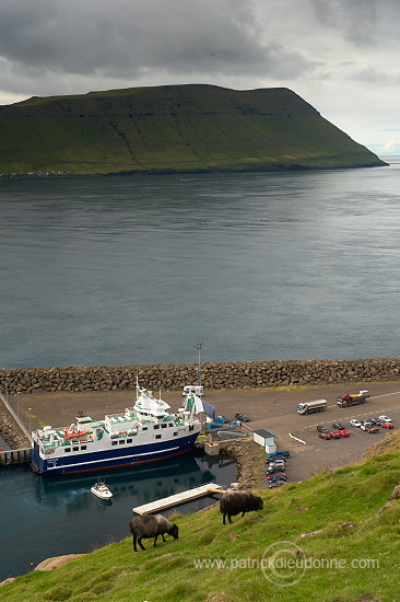 Ferry, Gamlaraett, Faroe islands - Ferry, Iles Feroe - FER462