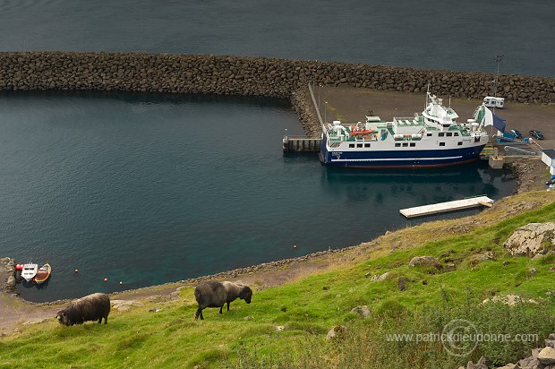 Ferry, Gamlaraett, Faroe islands - Ferry, Iles Feroe - FER465