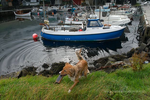 Leirvik harbour, Eysturoy, Faroe islands - Port de Leirvik, iles Feroe - FER141