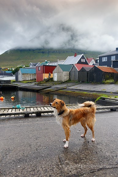 Leirvik harbour, Eysturoy, Faroe islands - Port de Leirvik, iles Feroe - FER144