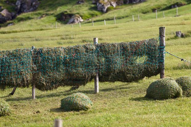 Hellur, Eysturoy, Faroe islands - Hellur, Eysturoy, iles Feroe - FER253