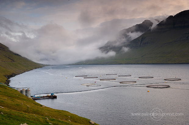 Salmon farming, Nordoyar, Faroe islands - Elevage du saumon, iles Feroe - FER274